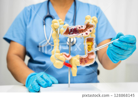 Intestine, Asian woman holding human anatomy model. 128868145
