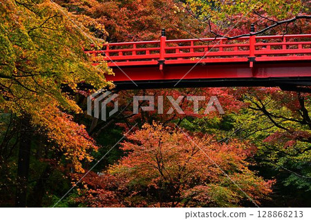 矢部神社的秋葉 128868213