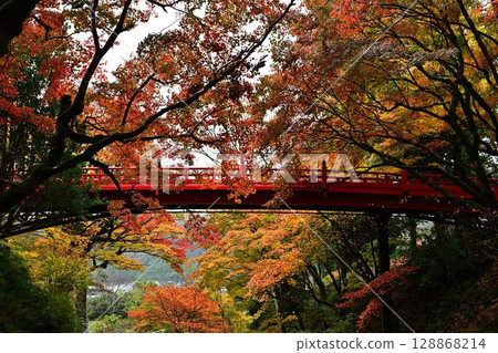 矢部神社的秋葉 矢部神社的秋葉 128868214