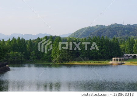 green pond green pond 128868318