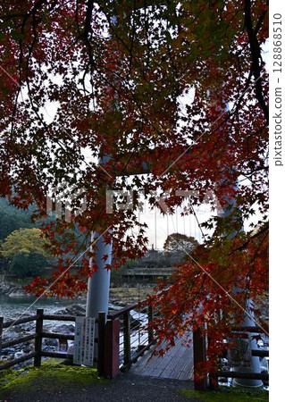 Autumn leaves of Kawashiro Park Autumn leaves of Kawashiro Park 128868510