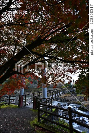 Autumn leaves of Kawashiro Park Autumn leaves of Kawashiro Park 128868517