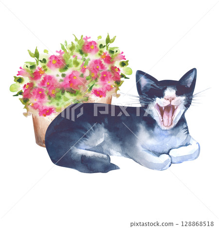 Watercolor composition with a yawning black and white cat on a background of turquoise flowers in pots, hand-drawn. The illustration is isolated on a white background. A template for postcards and 128868518