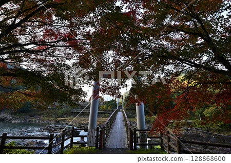 Autumn leaves of Kawashiro Park Autumn leaves of Kawashiro Park 128868600