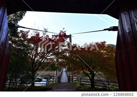 Autumn leaves of Kawashiro Park Autumn leaves of Kawashiro Park 128868602