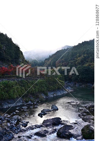 Autumn leaves of Kawashiro Park Autumn leaves of Kawashiro Park 128868677