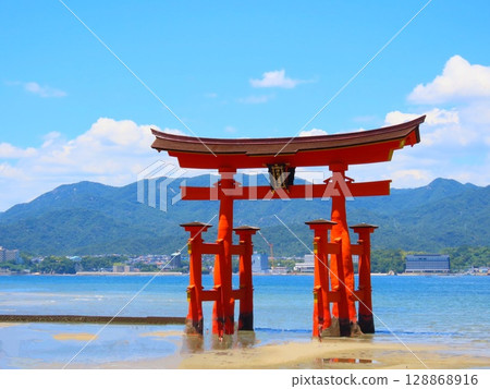 日本三大風景之一的宮島退潮時的大鳥居 日本三大風景之一的宮島退潮時的大鳥居 128868916