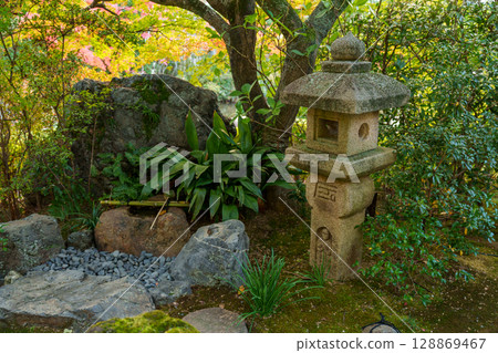 Myoshinji Temple Taizoin Yokoen Myoshinji Temple Taizoin Yokoen 128869467