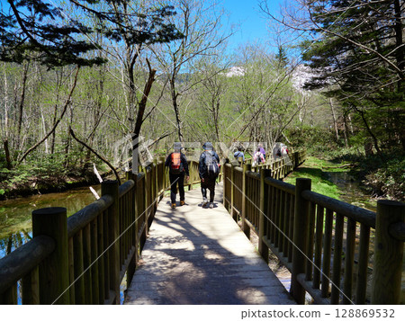 Tourists walking along a trail in the marshland of Kamikochi, a tourist attraction in early summer Tourists walking along a trail in the marshland of Kamikochi, a tourist attraction in early summer 128869532
