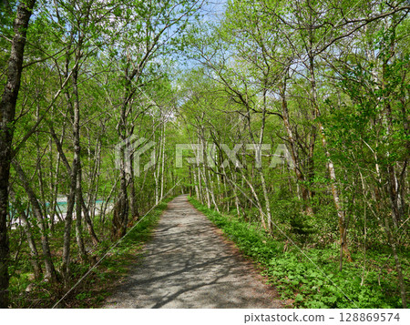 Spring scenery of the walking trails, Azusa River, and fresh green forests at Kamikochi, a popular tourist spot Spring scenery of the walking trails, Azusa River, and fresh green forests at Kamikochi, a popular tourist spot 128869574