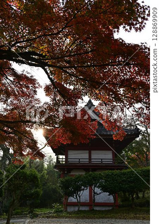 Autumn leaves of Joshoji Temple 128869909