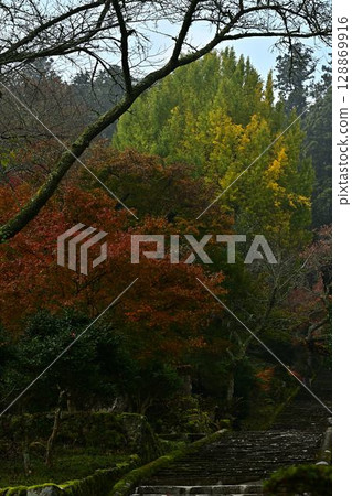 Autumn leaves of Joshoji Temple 128869916