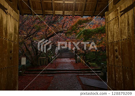 圓通寺的秋葉 128870209