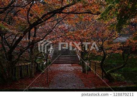 Autumn leaves at Entsuji Temple 128870211