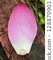 Closeup of a pink lotus petal with water droplets, placed on a brick.stage, ballroom hall, convention hall, hall, point light, interior design, suspended, decoration, pointlight, indoor, gallery, show 128870901