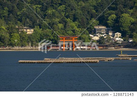 世界遺產、日本最美的三大嚴島神社大鳥居、廣島縣廿日市宮島 128871143