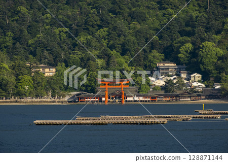 World Heritage Site and one of Japan's Three Most Scenic Views, Itsukushima Shrine's Great Torii Gate, Miyajima, Hatsukaichi City, Hiroshima Prefecture 128871144
