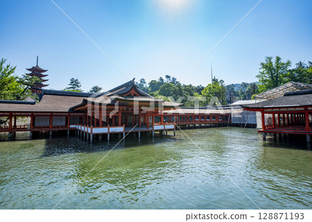 World Heritage Site: Itsukushima Shrine, one of Japan's Three Great Views, Guest Shrine Hall, Miyajima, Hatsukaichi City, Hiroshima Prefecture 128871193