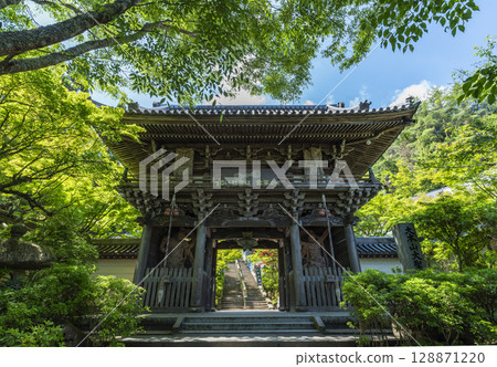 Niomon Gate of Daisho-in Temple, Miyajima Misen Daihonzan, Hatsukaichi City, Hiroshima Prefecture Niomon Gate of Daisho-in Temple, Miyajima Misen Daihonzan, Hatsukaichi City, Hiroshima Prefecture 128871220