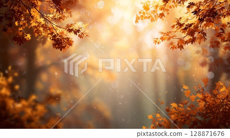光照亮的秋葉 光照亮的秋葉 128871676