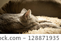 cat sleep on the couch 128871935