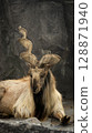 goat in the zoo 128871940