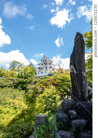 Gifu County Gujo Hachimanjo castle 128872230