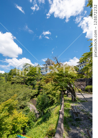 Gifu County Gujo Hachimanjo castle Gifu County Gujo Hachimanjo castle 128872232