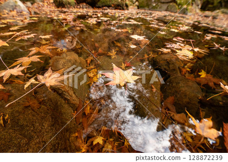 Mie Prefecture, Nabari City, Akame 48 Waterfalls Mie Prefecture, Nabari City, Akame 48 Waterfalls 128872239