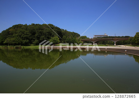 Sennibori pond 128872665