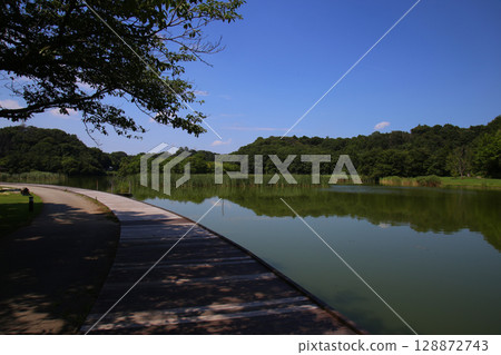 Sennibori pond Sennibori pond 128872743