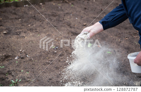 An elderly man sprays dolomite flour on acidic soil to deoxidize the soil and increase the harvest at his dacha in the spring. Copy space for text 128872787