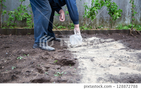 A man deacidifies the soil with dolomite flour and fertilizer in the garden in autumn. Increasing crop yields, copy space for text, summer resident A man deacidifies the soil with dolomite flour and fertilizer in the garden in autumn. Increasing crop yields, copy space for text, summer resident 128872788