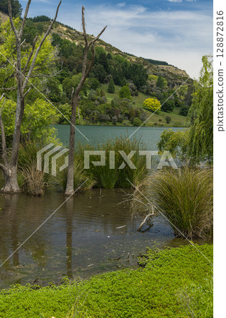 Lakeside view of Lake Tutira in Hawke's Bay, New Zealand Lakeside view of Lake Tutira in Hawke's Bay, New Zealand 128872816