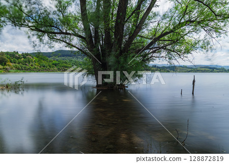 Lakeside view of Lake Tutira in Hawke's Bay, New Zealand Lakeside view of Lake Tutira in Hawke's Bay, New Zealand 128872819