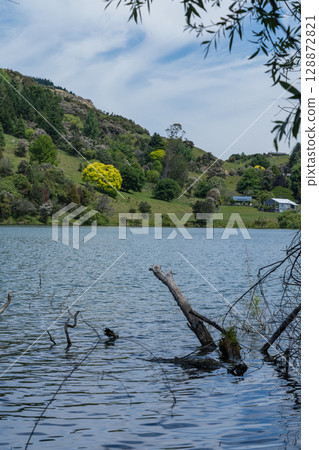 Lakeside view of Lake Tutira in Hawke's Bay, New Zealand Lakeside view of Lake Tutira in Hawke's Bay, New Zealand 128872821