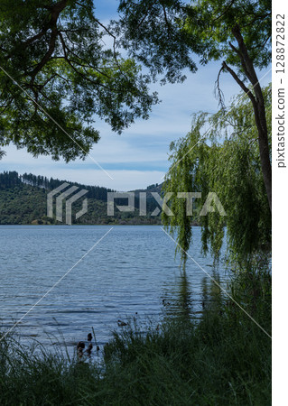 Lakeside view of Lake Tutira in Hawke's Bay, New Zealand 128872822