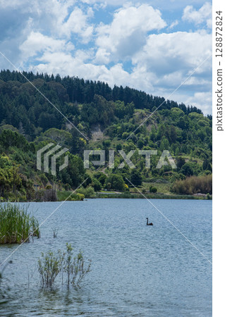 Lakeside view of Lake Tutira in Hawke's Bay, New Zealand Lakeside view of Lake Tutira in Hawke's Bay, New Zealand 128872824