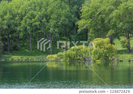 紐西蘭霍克斯灣圖蒂拉湖的湖畔景色 128872829