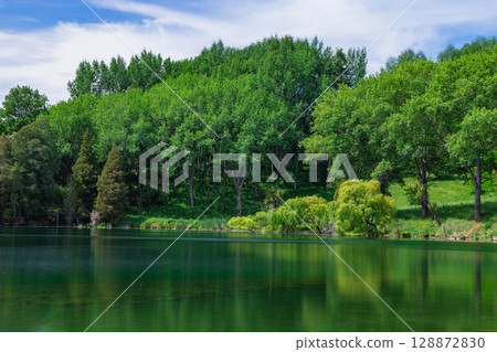 Lakeside view of Lake Tutira in Hawke's Bay, New Zealand Lakeside view of Lake Tutira in Hawke's Bay, New Zealand 128872830