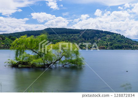 Lakeside view of Lake Tutira in Hawke's Bay, New Zealand Lakeside view of Lake Tutira in Hawke's Bay, New Zealand 128872834