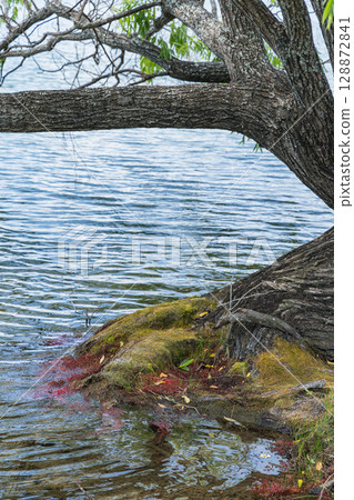 Lakeside view of Lake Tutira in Hawke's Bay, New Zealand Lakeside view of Lake Tutira in Hawke's Bay, New Zealand 128872841