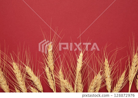 Ears of wheat on dark red background. Space for text 128872976
