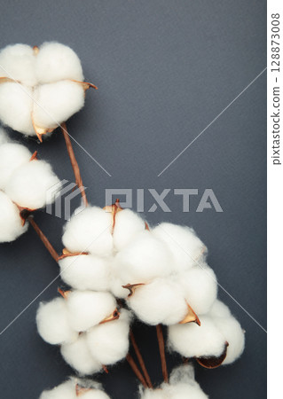 Branch with white fluffy cotton flowers on dark blue background. Vertical photo Branch with white fluffy cotton flowers on dark blue background. Vertical photo 128873008