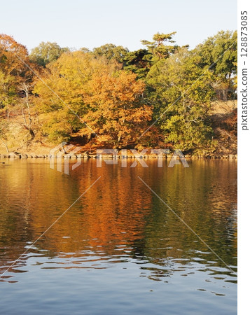 秋葉奈良公園 128873085