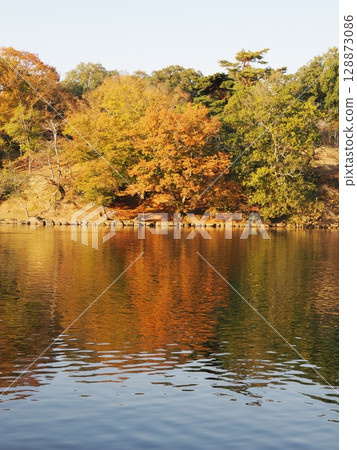 秋葉奈良公園 128873086