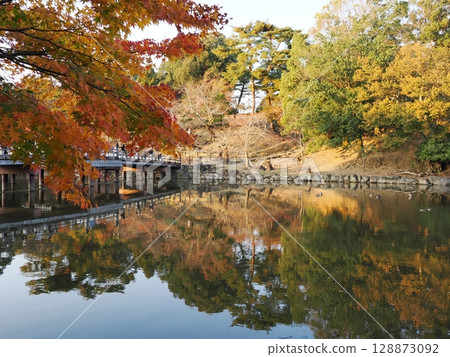 秋葉奈良公園 128873092
