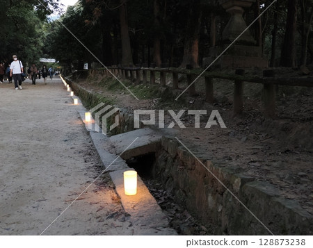 擁有百萬盞燈籠的春日大社（奈良） 128873238