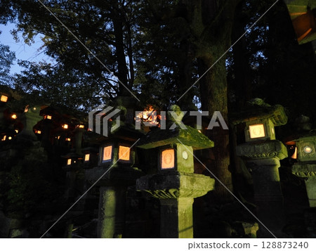 擁有百萬盞燈籠的春日大社（奈良） 128873240