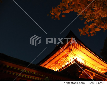 Kasuga Taisha Shrine with its million lanterns (Nara) Kasuga Taisha Shrine with its million lanterns (Nara) 128873258